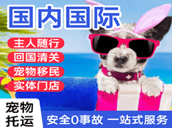 长海机场托运国际宠物托运 【国